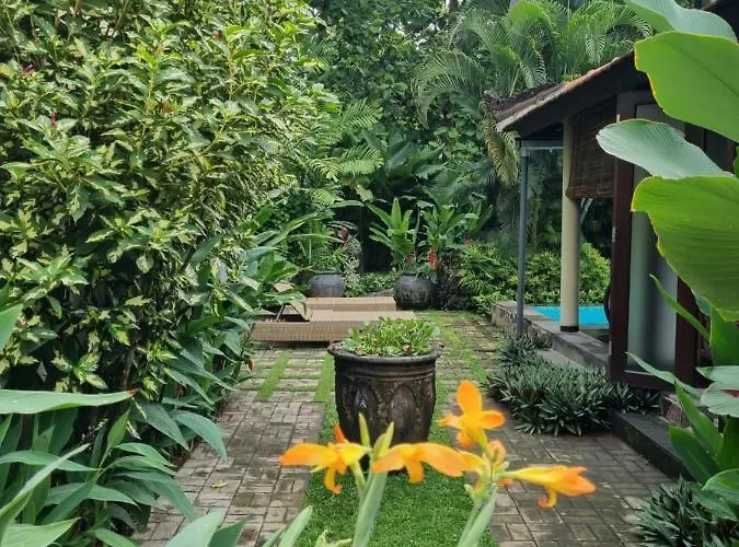 Jati - Private Poolside Villa Lovina